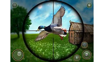 Wild Dragon: Bird Hunter for Android - Download the APK from Habererciyes